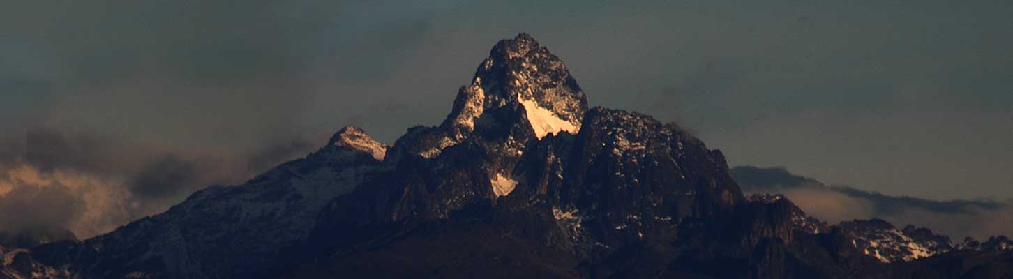 mountain gorillas gorilla safari trekking uganda